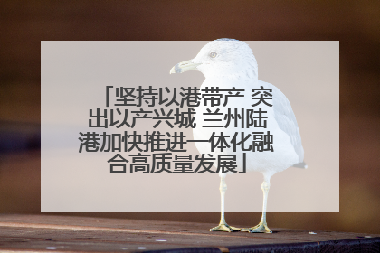 坚持以港带产 突出以产兴城 兰州陆港加快推进一体化融合高质量发展