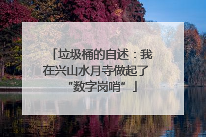 垃圾桶的自述：我在兴山水月寺做起了“数字岗哨”