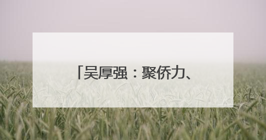 吴厚强：聚侨力、开新局，推动侨乡高水平参与对外开放