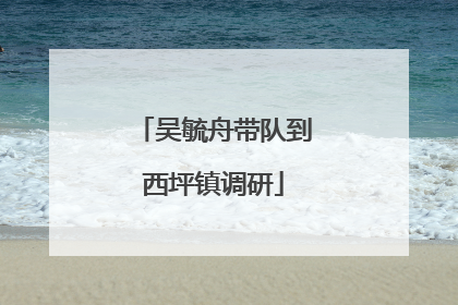 吴毓舟带队到西坪镇调研