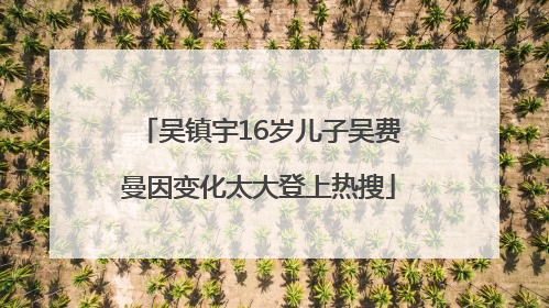 吴镇宇16岁儿子吴费曼因变化太大登上热搜
