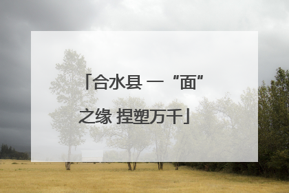合水县 一“面”之缘 捏塑万千