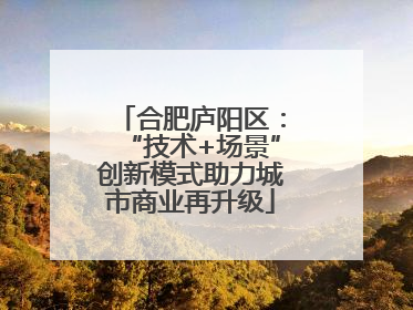 合肥庐阳区：“技术+场景”创新模式助力城市商业再升级