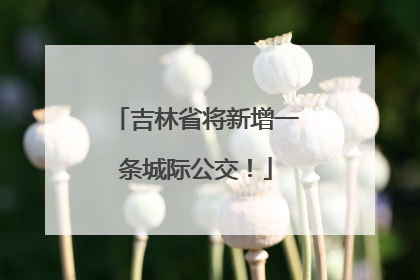 吉林省将新增一条城际公交！
