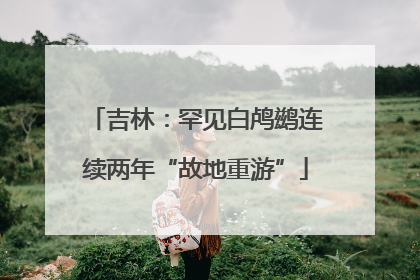 吉林：罕见白鸬鹚连续两年“故地重游”