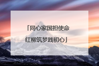同心家国担使命 红柳筑梦践初心