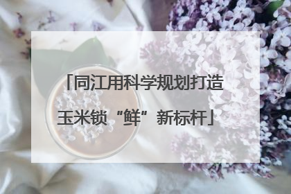 同江用科学规划打造玉米锁“鲜”新标杆