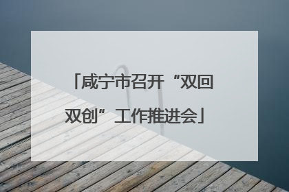咸宁市召开“双回双创”工作推进会