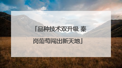 品种技术双升级 秦岗葡萄闯出新天地