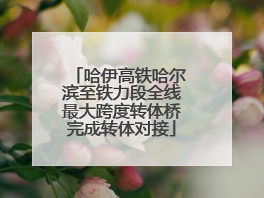 哈伊高铁哈尔滨至铁力段全线最大跨度转体桥完成转体对接