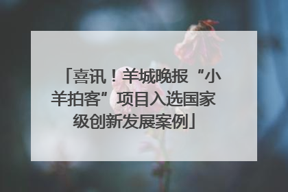 喜讯！羊城晚报“小羊拍客”项目入选国家级创新发展案例