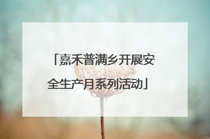 嘉禾普满乡开展安全生产月系列活动