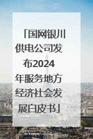 国网银川供电公司发布2024年服务地方经济社会发展白皮书