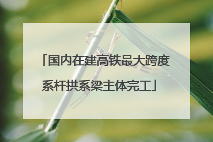 国内在建高铁最大跨度系杆拱系梁主体完工