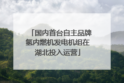 国内首台自主品牌氢内燃机发电机组在湖北投入运营