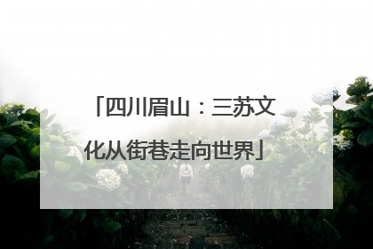 四川眉山：三苏文化从街巷走向世界