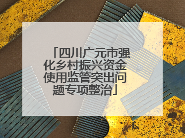 四川广元市强化乡村振兴资金使用监管突出问题专项整治