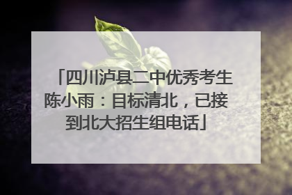 四川泸县二中优秀考生陈小雨：目标清北，已接到北大招生组电话