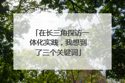 在长三角探访一体化实践，我想到了三个关键词