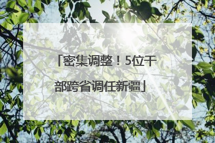 密集调整！5位干部跨省调任新疆