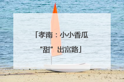 孝南：小小香瓜 “甜”出富路