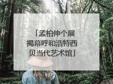 孟柏伸个展 揭幕呼和浩特西贝当代艺术馆