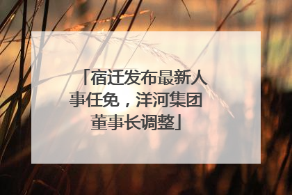 宿迁发布最新人事任免，洋河集团董事长调整
