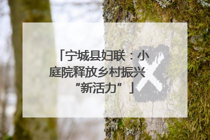 宁城县妇联：小庭院释放乡村振兴“新活力”
