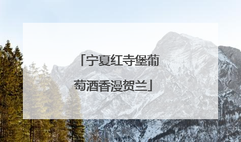 宁夏红寺堡葡萄酒香漫贺兰