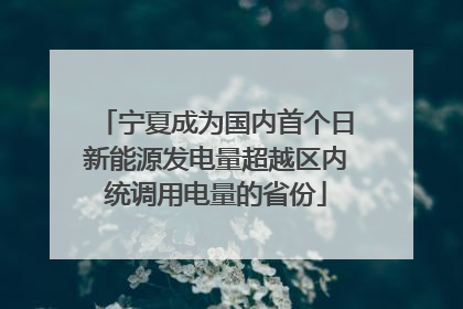 宁夏成为国内首个日新能源发电量超越区内统调用电量的省份