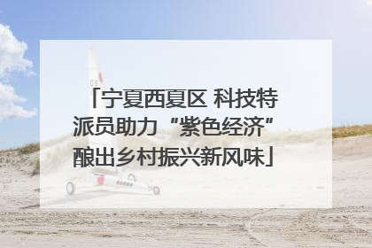 宁夏西夏区 科技特派员助力“紫色经济”酿出乡村振兴新风味