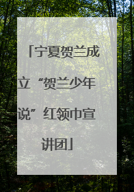 宁夏贺兰成立“贺兰少年说”红领巾宣讲团