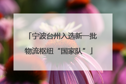 宁波台州入选新一批物流枢纽“国家队”