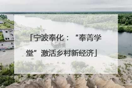 宁波奉化：“奉菁学堂”激活乡村新经济