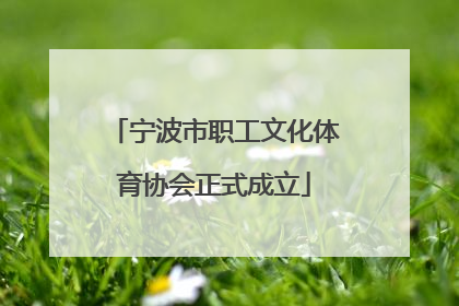 宁波市职工文化体育协会正式成立