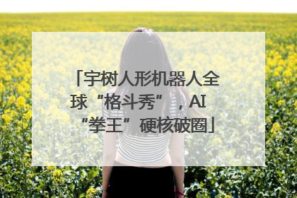 宇树人形机器人全球“格斗秀”，AI“拳王”硬核破圈