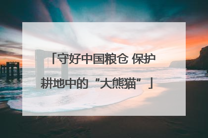 守好中国粮仓 保护耕地中的“大熊猫”