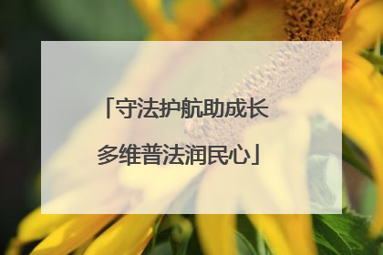 守法护航助成长 多维普法润民心