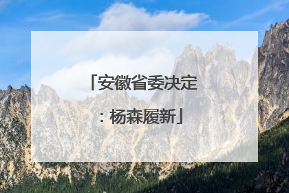 安徽省委决定：杨森履新