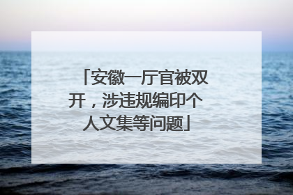 安徽一厅官被双开，涉违规编印个人文集等问题