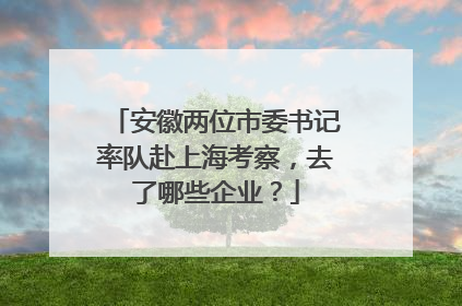 安徽两位市委书记率队赴上海考察，去了哪些企业？