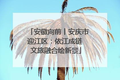 安徽向前丨安庆市迎江区：依江成链 文旅融合绘新景