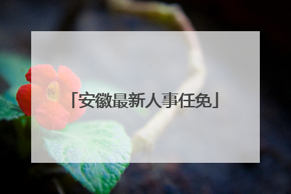 安徽最新人事任免
