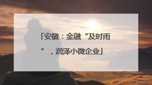 安徽：金融“及时雨”，润泽小微企业