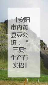 安阳市内黄县豆公镇：“三夏”生产有实招