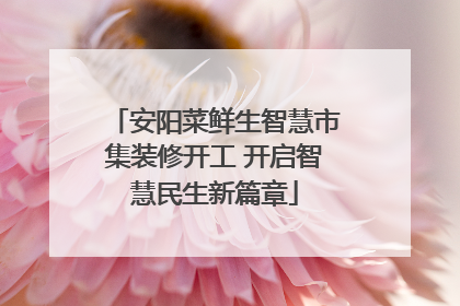 安阳菜鲜生智慧市集装修开工 开启智慧民生新篇章