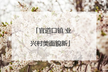 官道口镇 业兴村美面貌新