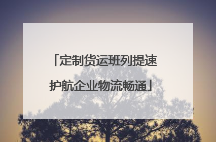 定制货运班列提速 护航企业物流畅通