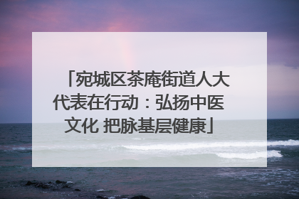 宛城区茶庵街道人大代表在行动：弘扬中医文化 把脉基层健康
