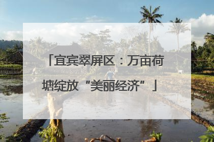 宜宾翠屏区：万亩荷塘绽放“美丽经济”